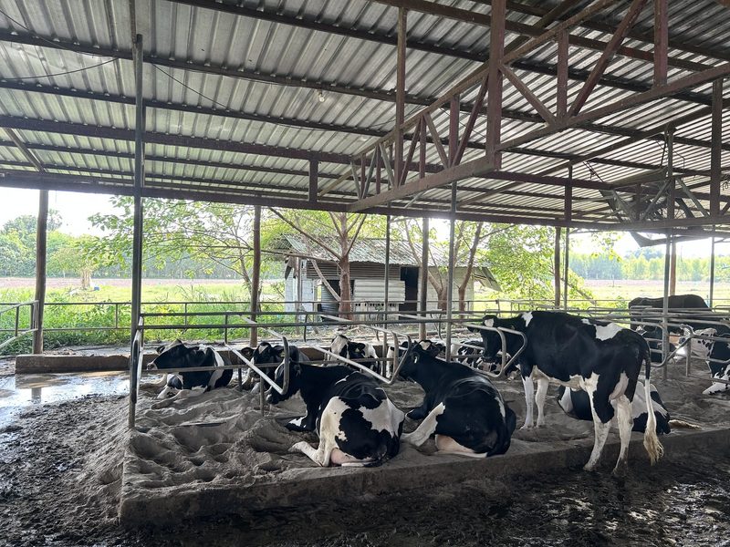 Thailand – Faszinierende Landwirtschaft in Asien