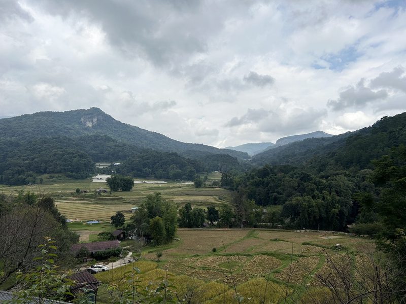 Thailand – Faszinierende Landwirtschaft in Asien