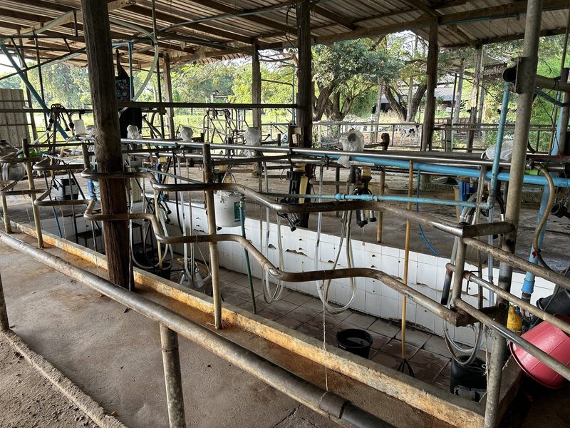 Thailand – Faszinierende Landwirtschaft in Asien