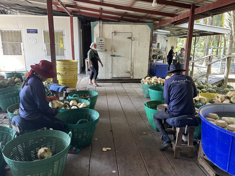Thailand – Faszinierende Landwirtschaft in Asien
