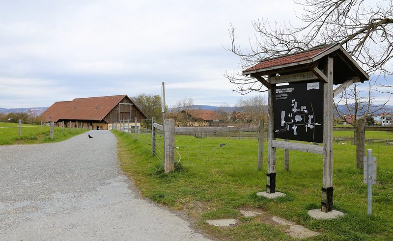Der Gutsbetrieb «Uf-Stocken» wird von kundigen «Quereinsteiger-Händen» geleitet