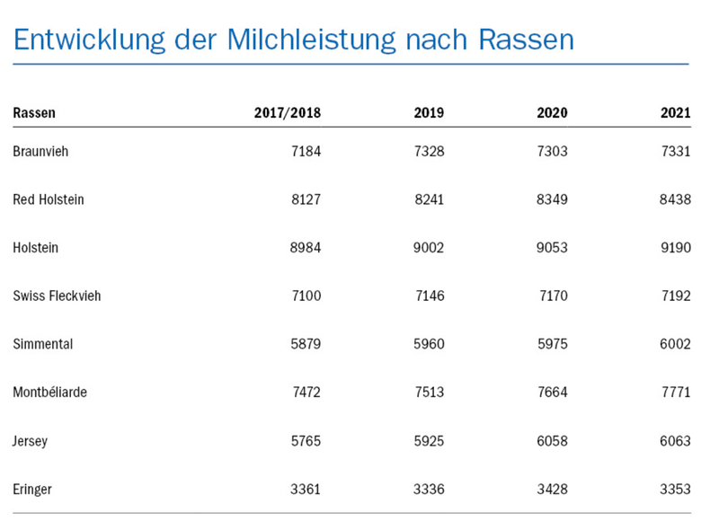 Die Klimaproblematik um die Kuh: «In diesem Bereich herrscht sehr viel Halb- und Unwissen»