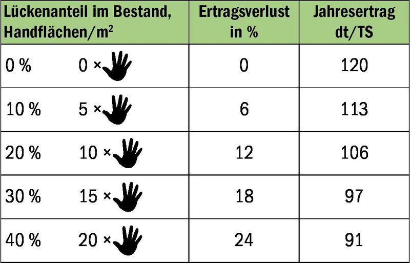Futterbau: So sanieren Sie Mäuseschäden auf Ihren Flächen
