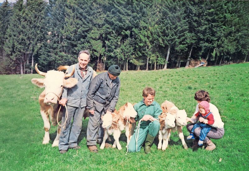 Präsentiert werden die Vierlinge von vier Generationen Stettler.