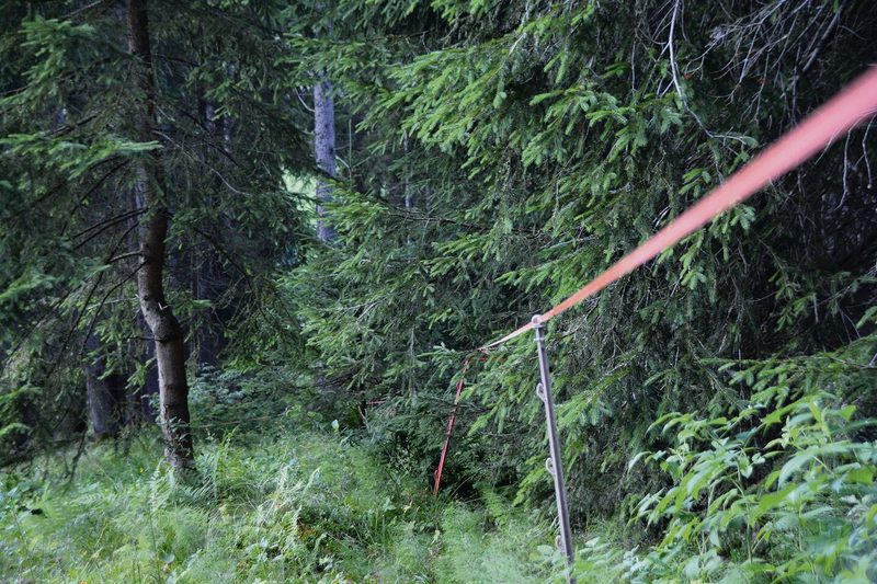 Wie nah darf gezäunt werden? Temporärer Zaun am Waldrand auf einer Alpweide im Entlebuch.