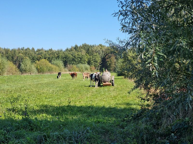 Eine Boden-Rettung soll die Ernte im Grossen Moos sichern