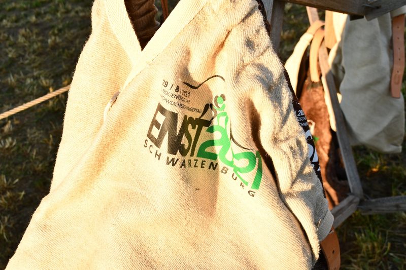 ENST 21: Sinisha Lüscher, Daniel Tschumi und Luca Müller haben gewonnen