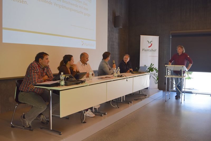 In Graubünden sind die Grenzen des Herdenschutzes erreicht