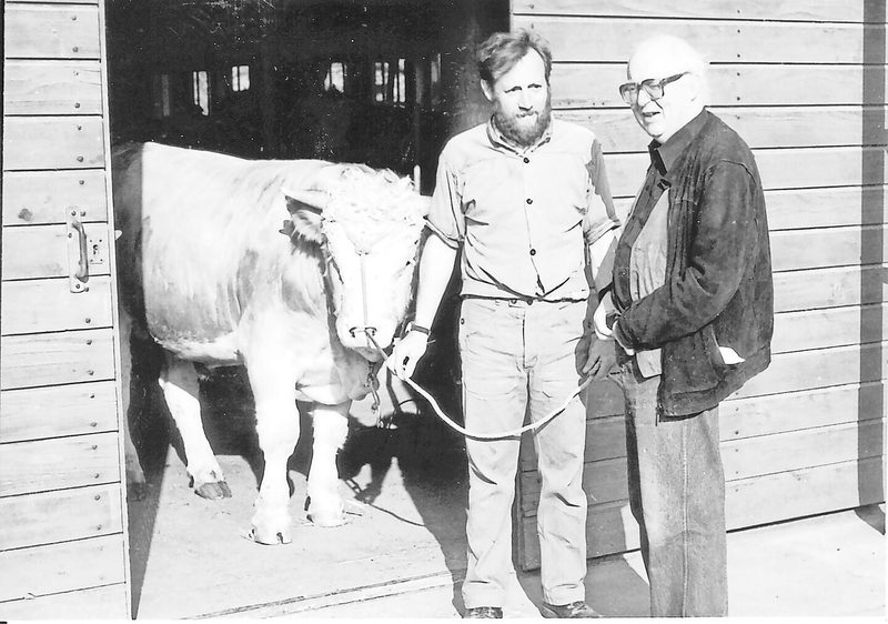 Friedrich Dürrenmatt beim Besuch der KB-Station Neuenburg, einem «technischen Bullenpuff». Stiere interessierten den Schriftsteller.