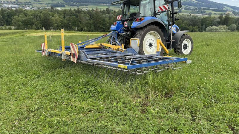 «Jetzt an Gründüngungen denken», hiess es am IP-Suisse-Produzententag