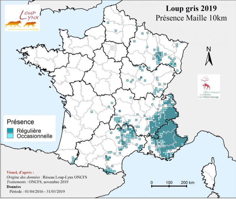 Ein Blick über die Grenze: Die Situation mit dem Wolf in der Schweiz und im Ausland