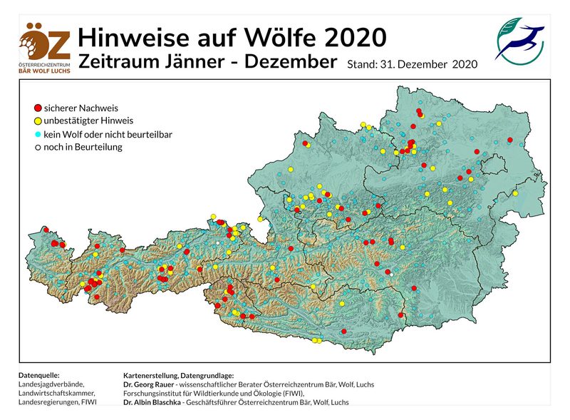 Ein Blick über die Grenze: Die Situation mit dem Wolf in der Schweiz und im Ausland