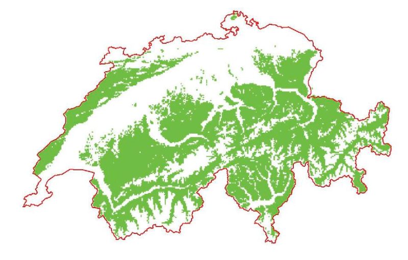 Ein Blick über die Grenze: Die Situation mit dem Wolf in der Schweiz und im Ausland