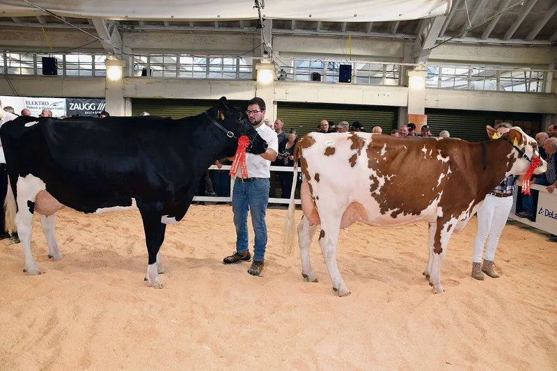Das Spitzenduo der Kategorie 18: 1. Artemis Catalina (r.), Ueli Urben, Inkwil; 2. Minder’s Armani Ideal, David Minder, Leimiswil.