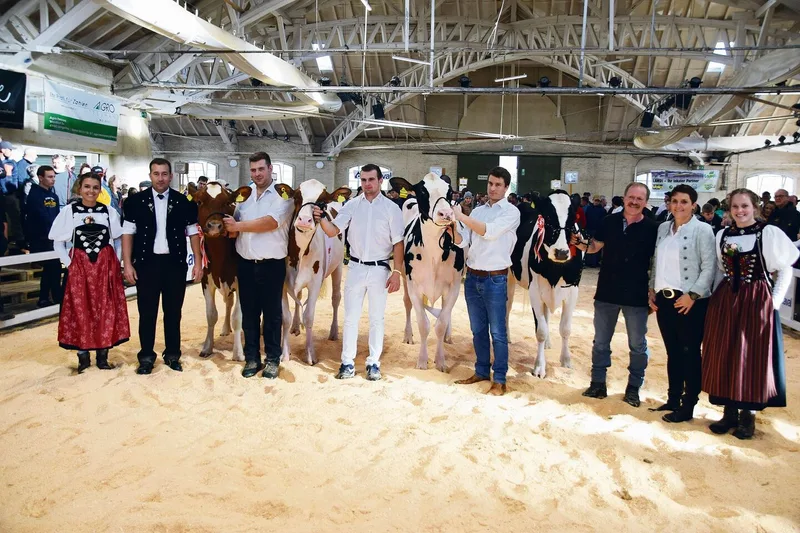 Junior-Championne-Wahl (v. l. n. r.): Reserve: Flüsta Odyssey Shyra; Championne: Fahrni Bad Kiwi; Schöneuter: Claynook Tropic Diamond SG; Reserve: Colonel Valeska.