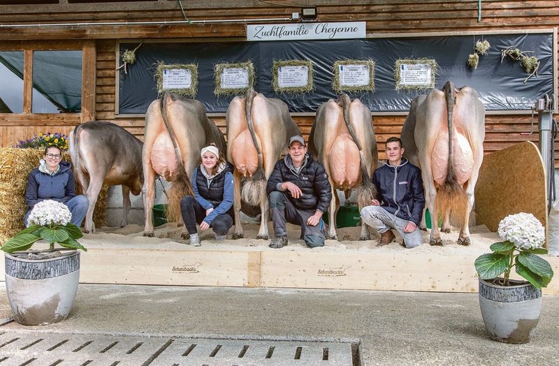 Gislerwaid Blooming Cheyenne von Familie Schmid aus Schüpfheim LU erreichte mit 92 Punkten beim Brown Swiss ein Topresultat.