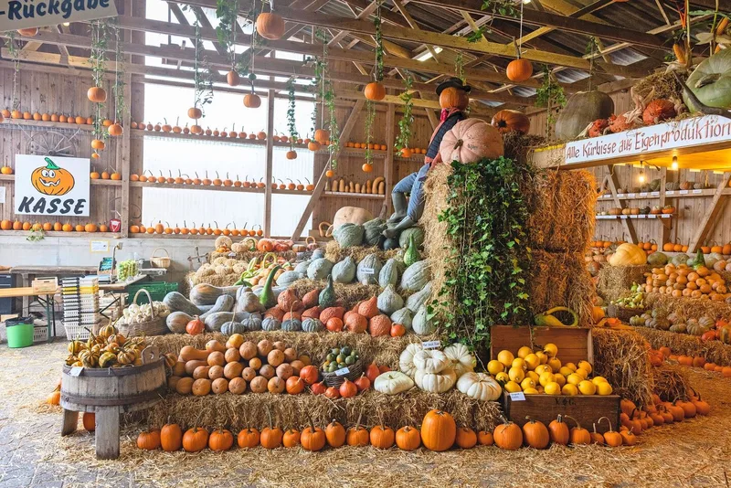 Das Kürbisfest auf der Stöckweid zieht jeden Herbst Kundschaft an, die danach regelmässig im Hofladen einkauft.