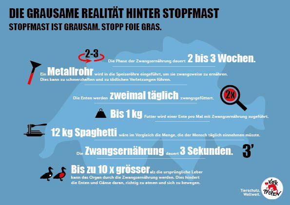 Der Nationalrat befürwortet ein Importverbot für Stopfleber