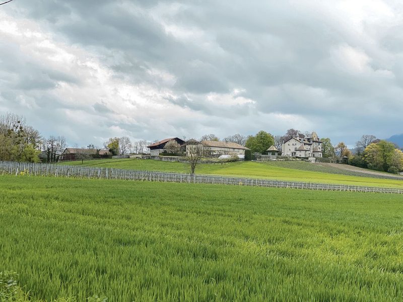 Blick auf das Château du Crest und den dazugehörigen Landwirtschaftsbetrieb. Das Schloss wurde 1624 von Théodore Agrippa d’Aubigné erbaut – an selber Stelle stand schon zuvor ein Château. 1637 erwarb die Familie Micheli das Schloss. Bis heute ist es in Familienbesitz.