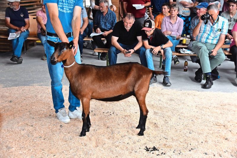 Die Standmann-Tochter Wonderful holte diesen Frühling in Bulle den Junior-Schöneutertitel. Sie galt 2300 Franken.