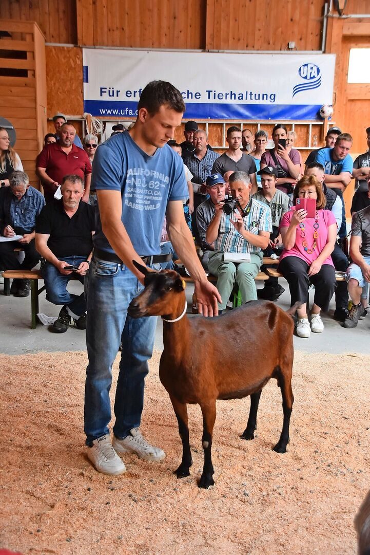 Die wunderschöne Schauziege Sunrise (Vater Kanis) löste den Tageshöchstpreis von 3300 Franken.