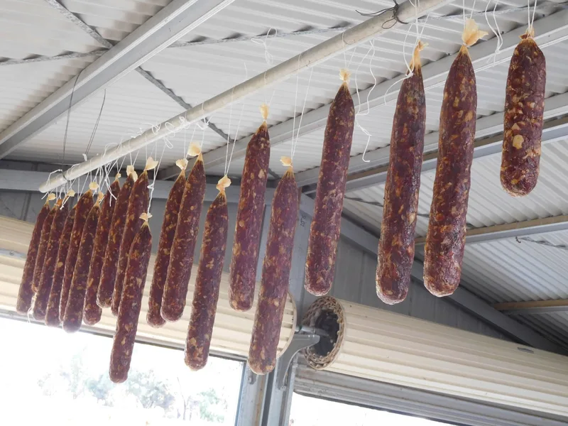 Die Kühe müssen in Australien unten durch