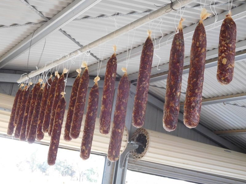Die Kühe müssen in Australien unten durch