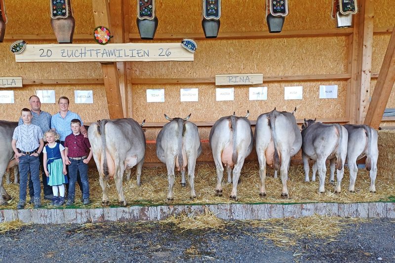 Familie Schönbächler aus Einsiedeln präsentierte gleich vier Braunvieh Zuchtfamilien