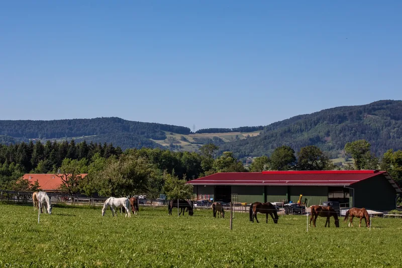 In den Hang gebaut: Der obere Teil des Stalles dient als Lagerraum und Maschinenhalle. Die Pferdeboxen befinden sich darunter. Bild: Pia Neuenschwander