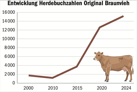 Original Braunvieh: Das Kosten-Nutzen-Verhältnis überzeugt