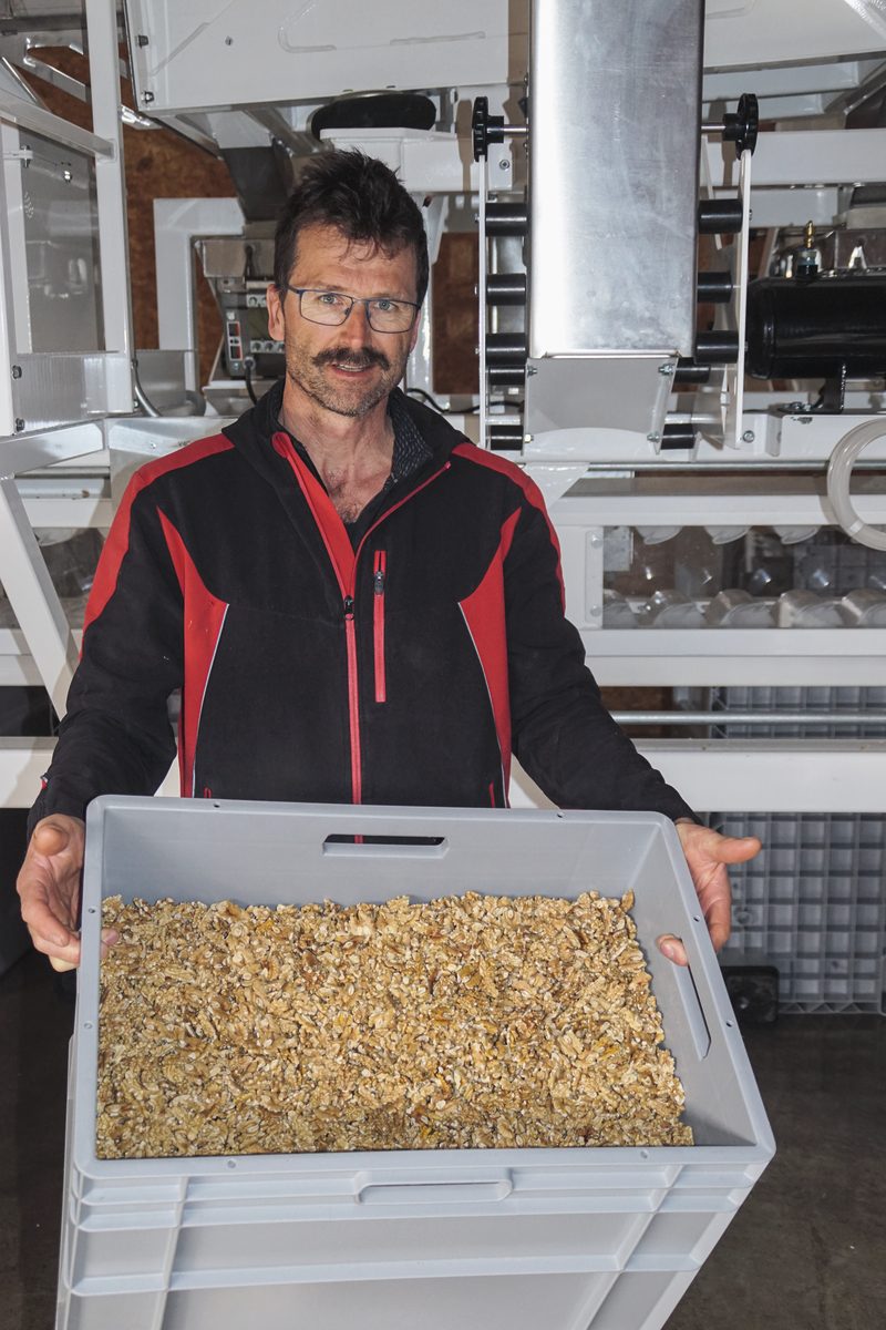 Johannes Janggen präsentiert die Walnusskerne. Bild: Michael Götz