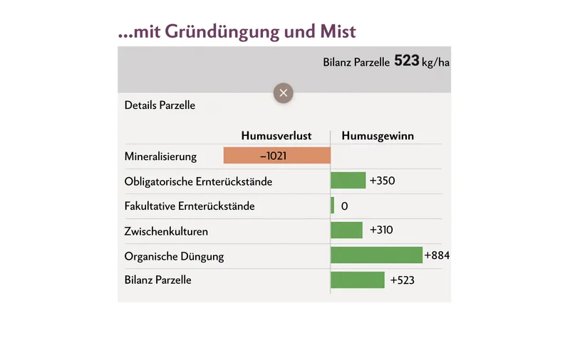 Mit der frühen Ansaat einer abfrierenden Gründüngung und der Gabe von 10 Tonnen Mist ist die Bilanz bereits positiv.