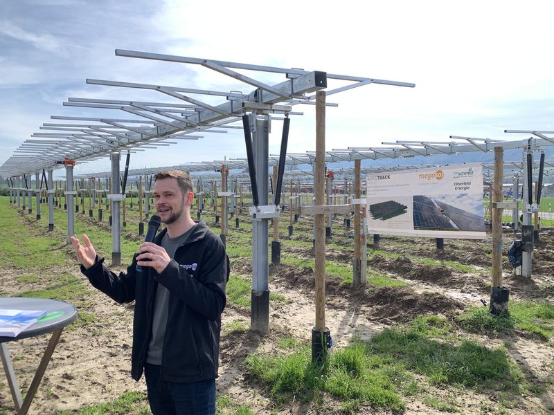 Agri-Photovoltaik Anlage liefert Sonnenstrom und Schatten für Beeren