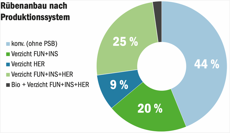 Hohe Erträge und eine geschlossene Zuckerfabrik prägen die Zuckerrübenkampagne 2025