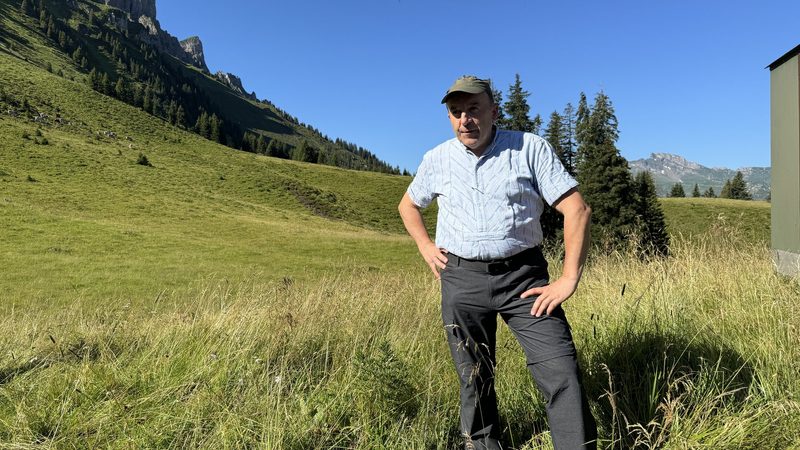«Die Herdenschutzhunde sind am Limit»: Bauernvertreter fordern den Abschuss des Rudels