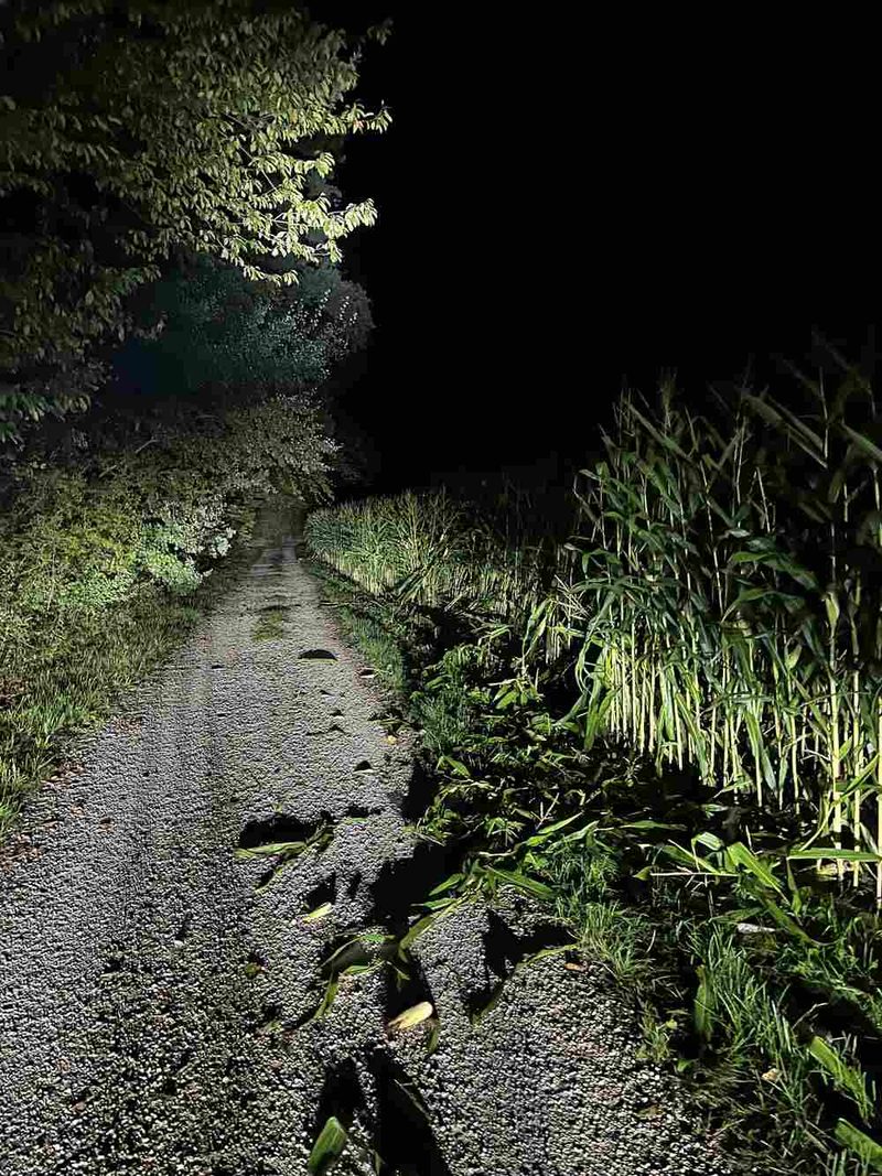 Geschädigte gesucht nach Strolchenfahrt über mehrere Felder