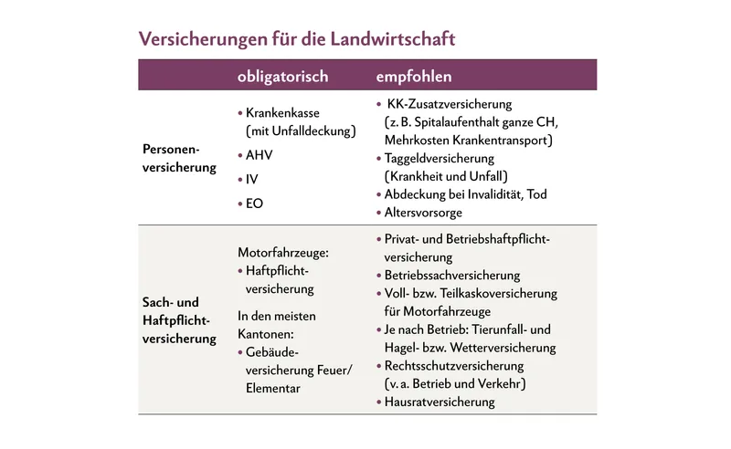 Gut abgesichert ins neue Jahr: Tipps für Versicherungen und Vorsorge