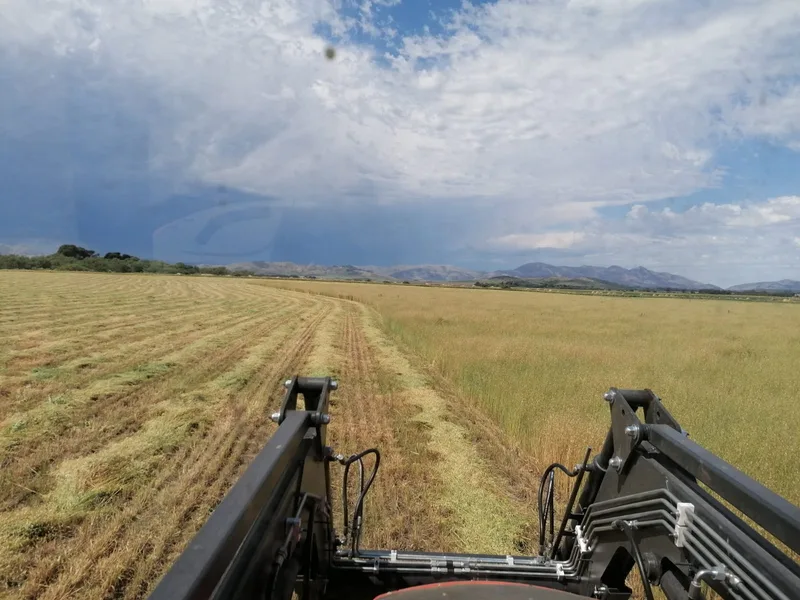 In Argentinien macht Egon Tschol mit seinem neuen Traktor ein gutes Geschäft