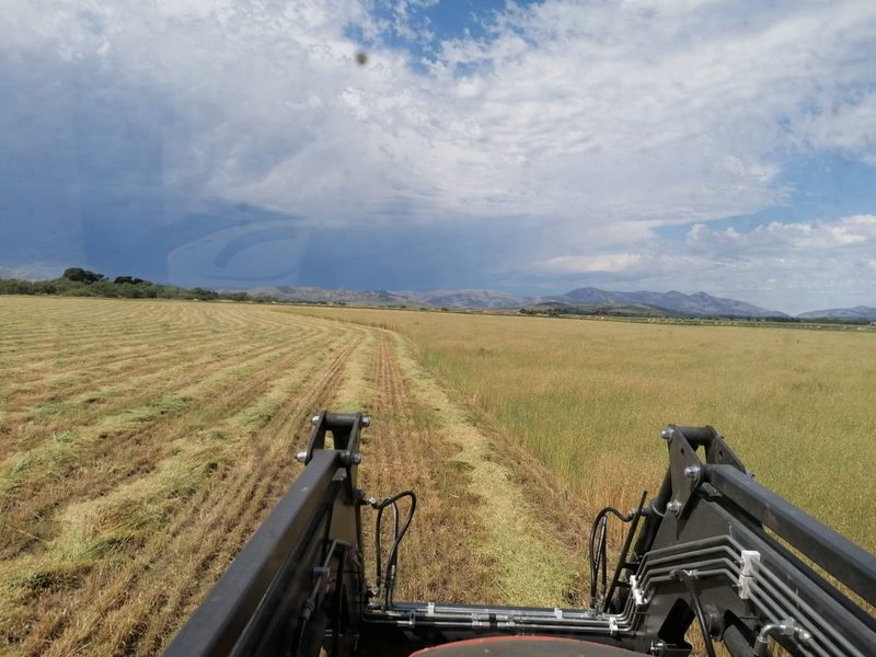 In Argentinien macht Egon Tschol mit seinem neuen Traktor ein gutes Geschäft
