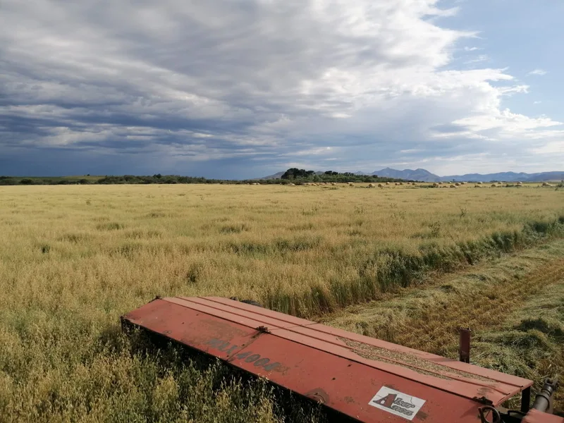 In Argentinien macht Egon Tschol mit seinem neuen Traktor ein gutes Geschäft