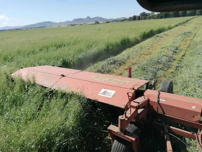 In Argentinien macht Egon Tschol mit seinem neuen Traktor ein gutes Geschäft
