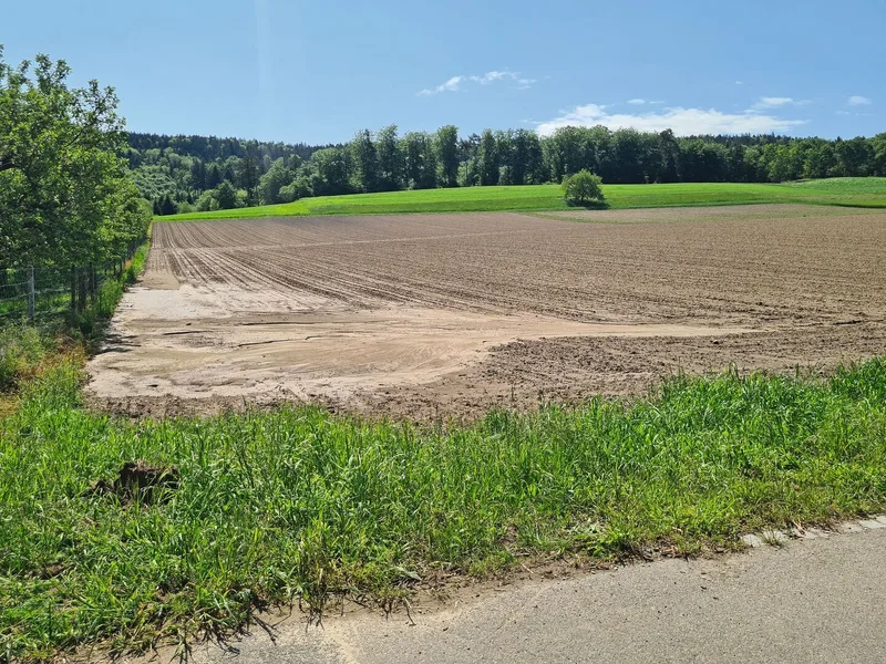 Bei Frühlingssaaten nach intensiver Bodenbearbeitung besteht ein erhöhtes Risiko für Bodenerosion. Die Kulturpflanze hat noch wenig Blattmasse gebildet, welche die Bodenpartikel bei einem allfälligen Starkregen schützen könnte.