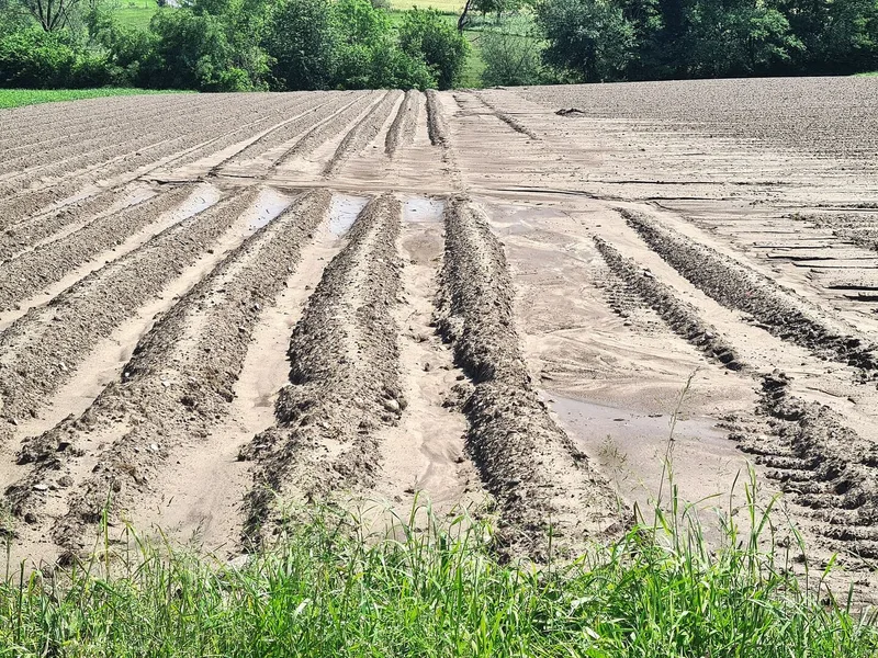 In Kartoffelfurchen kann sich ein kräftiger Wasserfluss entwickeln, welcher die Bodenbestandteile bis zu den Querfurchen verfrachtet.