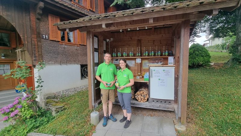 Familie Stocker produziert als einzige frische Schweizer Feigen