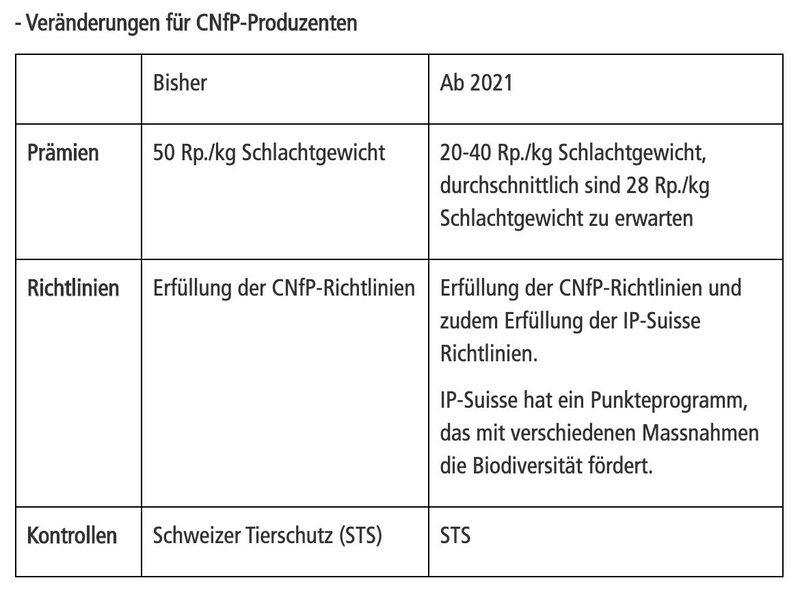 Schweine bei Coop Naturafarm und IP Suisse: Das ändert sich für Produzenten