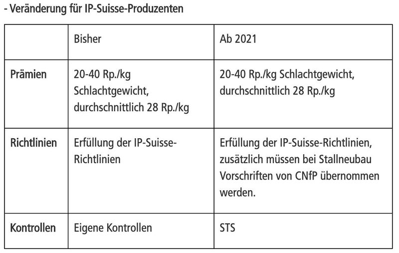 Schweine bei Coop Naturafarm und IP Suisse: Das ändert sich für Produzenten