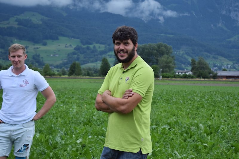 Zuckerrüben: Setzen rentiert nur für den Bio-Anbau