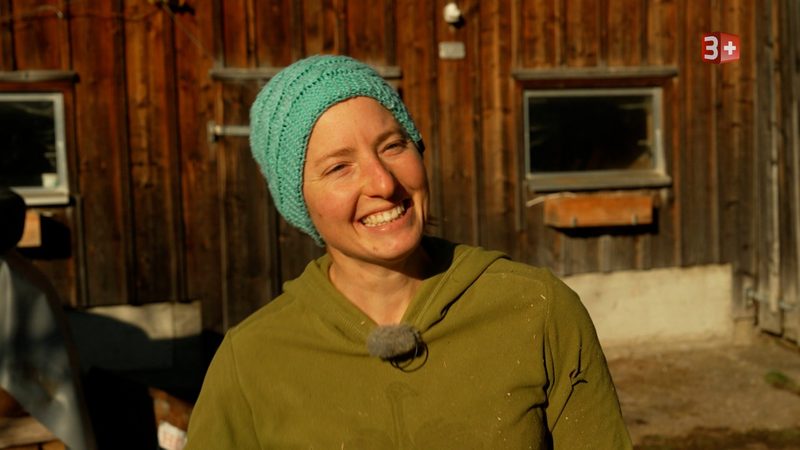 Vier neue Bauern und eine Bäuerin suchen das Glück bei «Bauer, ledig, sucht»