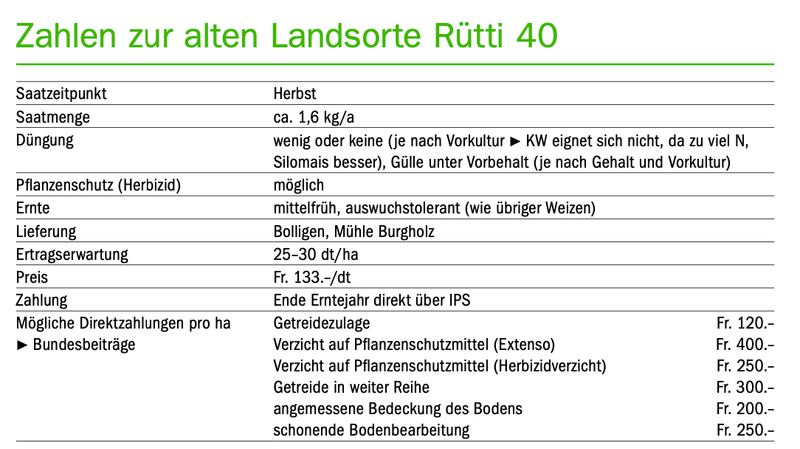 Rütti 40, ein «fast vergessener Schatz»