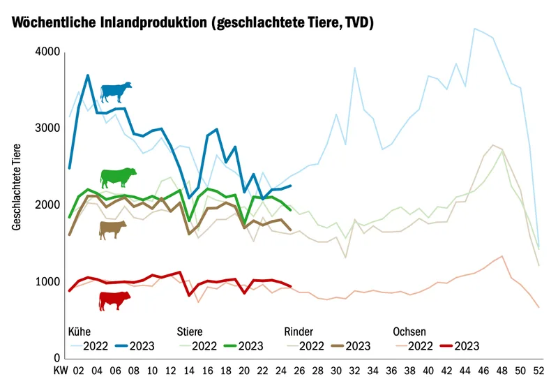 Im Herbst kommt (zu) viel Jungvieh